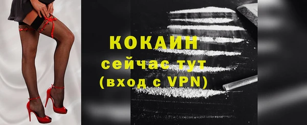 прущая мука Вяземский