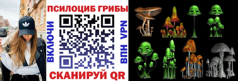 Галлюциногенные грибы мухоморы купить закладку Находка